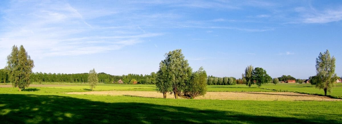 Afbeelding met gras, lucht, buiten, veld

Automatisch gegenereerde beschrijving