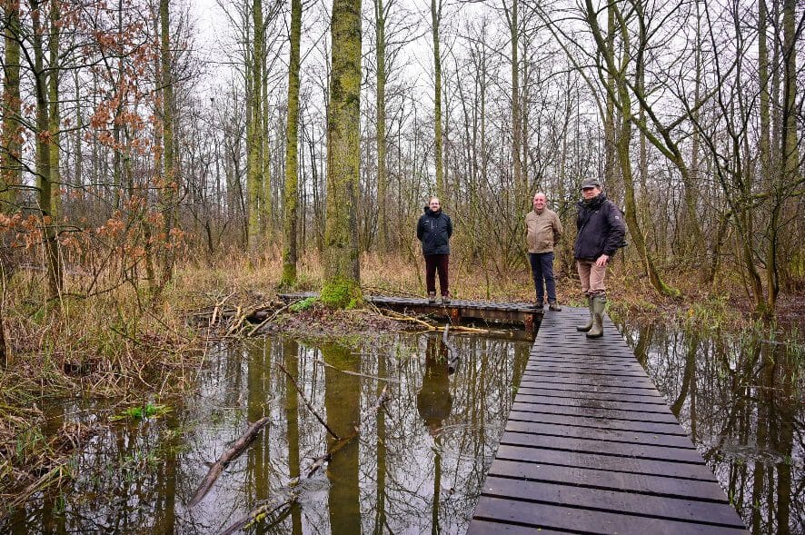 Natuurgebied Niels Broek natter, maar vlonderpad zorgt voor droge voeten  (Niel) | Gazet van Antwerpen Mobile